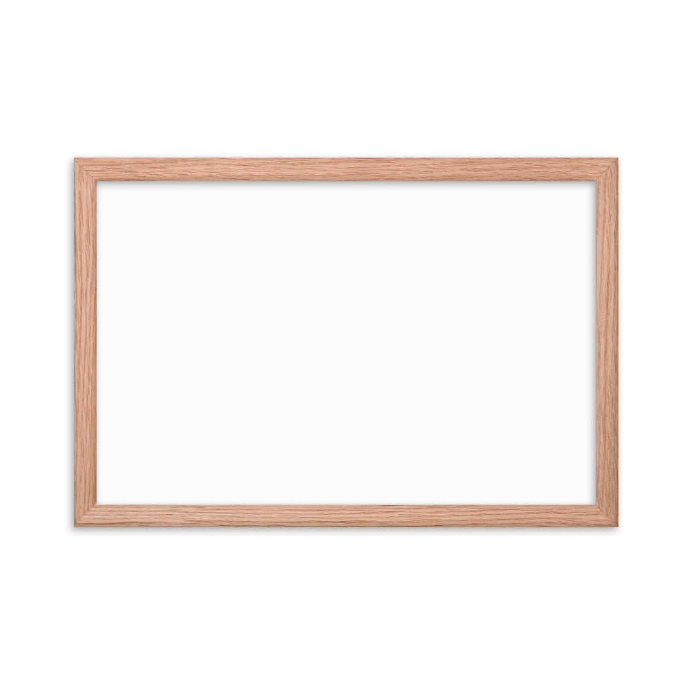 Premium Luster Photo Paper Framed Poster (in)