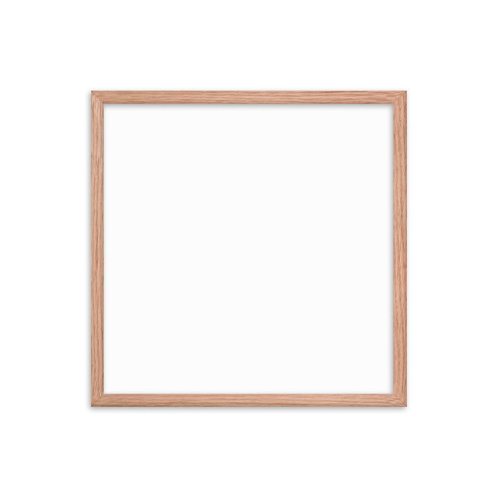 Premium Luster Photo Paper Framed Poster (in)