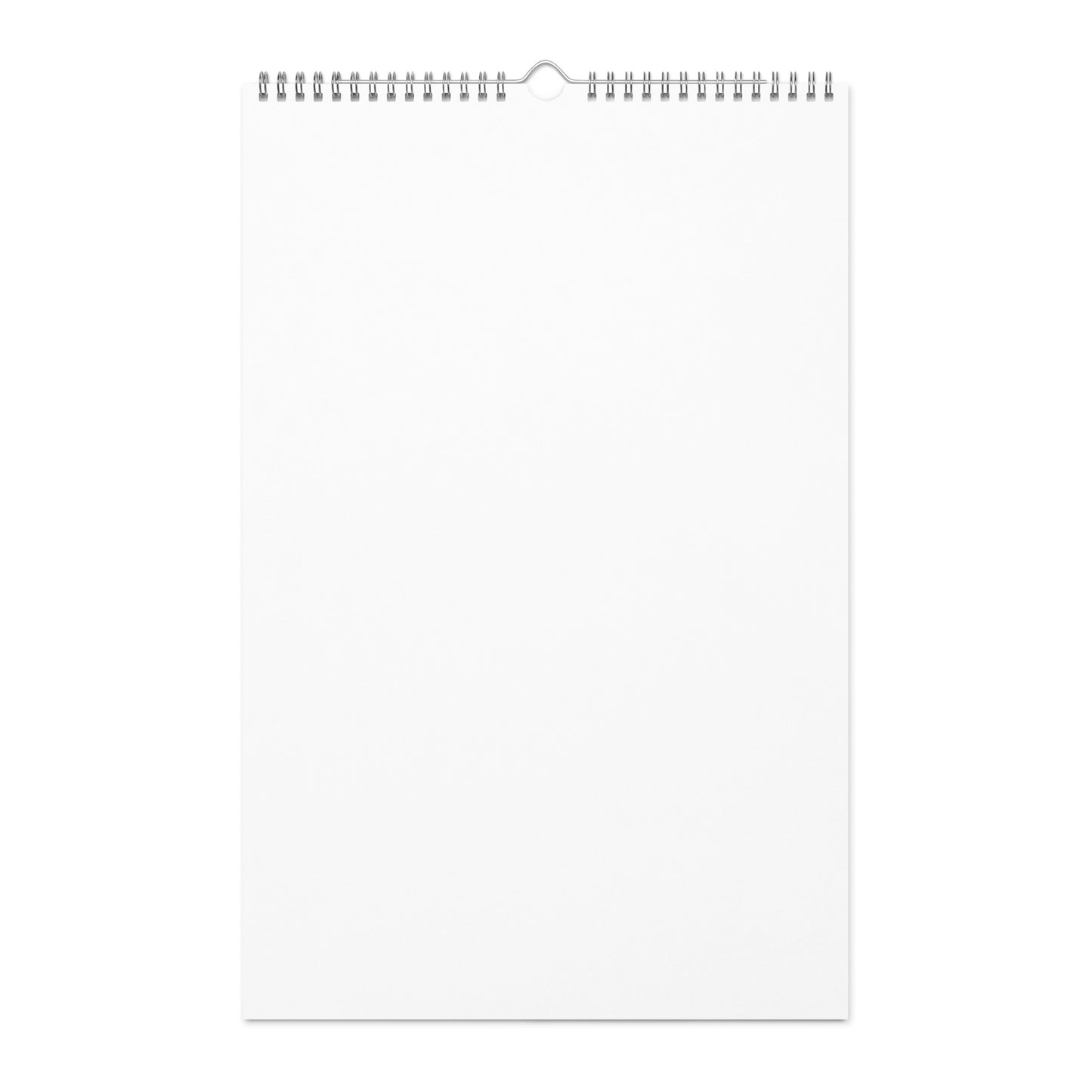 Wall Calendar (2024)