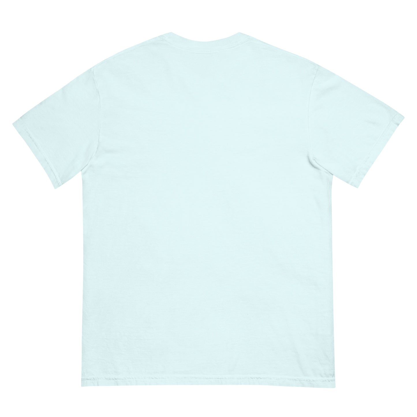 Unisex Garment-Dyed Heavyweight T-Shirt | Comfort Colors 1717