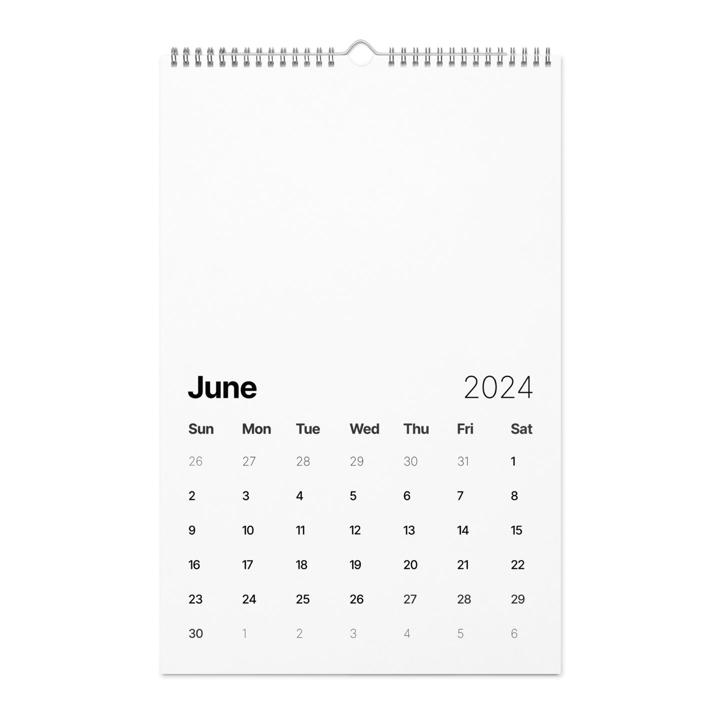 Wall Calendar (2024)