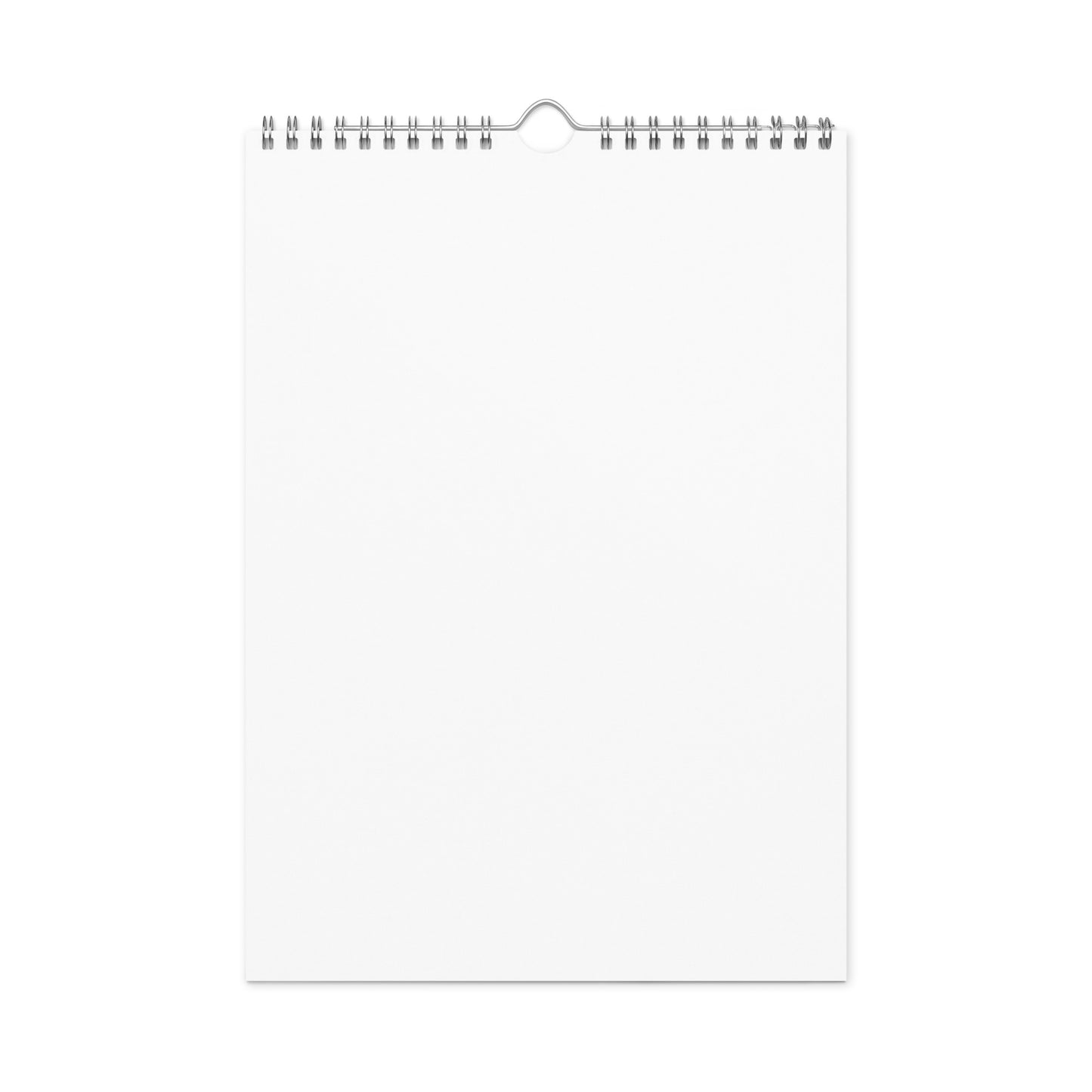 Wall Calendar (2024)